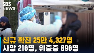 신규 확진 25만 4,327명…사망 216명 / SBS