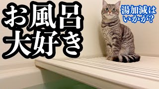 お風呂好きな猫がついてくるので、一緒に入り満喫するナイトルーティン。