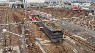 JR貨物稲沢駅周辺で撮影(2024年12月7日)