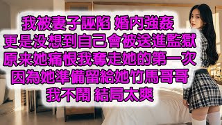 我被妻子誣陷 婚內強姦 更是没想到自己會被送進監獄原来她痛恨我奪走她的第一次因為她準備留給她竹馬哥哥我不鬧 結局太爽