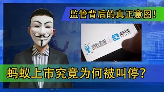 蚂蚁上市究竟为何被叫停？监管背后的真正意图【20201110第140期】