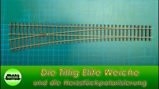 (117) Die Tillig Elite Weiche und die Herzstückpolarisierung (900 Abonnenten Spezial)