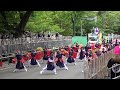 平取義経なるこ会／11日pm 大通北パレード会場／第31回yosakoiソーラン祭り2022