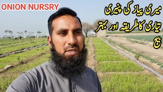 Onion farming  (Pyaz ki kasht) |Onion cultivation |Growing onions crop tips, hindi/urdu, IR FARM