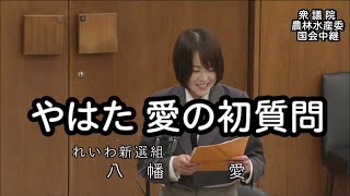 【国会中継録画】やはた愛 厚生労働委員会 初質問（2024/12/18）