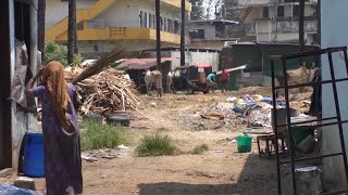 മലിനജലം കുടിവെള്ള ശ്രോതസ്സുകളിലേയ്ക്ക് ഒഴുക്കി വിടുകയാണ് പെരുമ്പാവൂർ  ബായി കോളനി