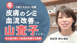 血流が悪くなる冬こそ使いたい生薬「山査子」の使い方を解説【中獣医のオススメ】