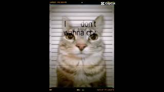 Please Don T Say Goodbye
