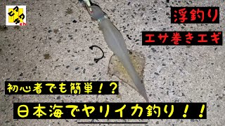 【ヒマキワch 会社員釣り趣味奮闘記　♯4】初心者でも簡単！？日本海の夜釣りでヤリイカ釣り♪