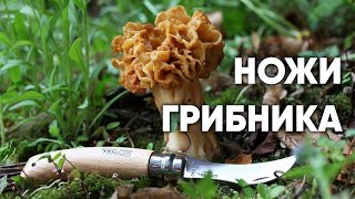 Ножи грибника