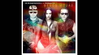Wisin, Yandel & Rosalía - Besos Moja2 (Clean Versión)