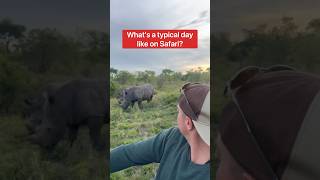 What It’s REALLY Like To Go On An African Safari (Watch Before You Go!) #shorts #safari