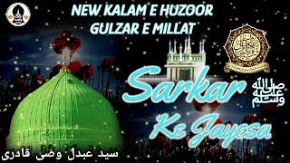 Kaunain Men Us Moniso Ghamkhar   || New Kalam E Huzoor Gulzar e millat by Sayyed Abdul Wasi | #2022