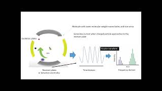 Lecture 8: Mass analyzers II: ICR, orbitrap, and tandem MS