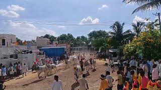 car festival in kolagallu