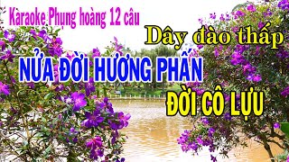 Karaoke NỬA ĐỜI HƯƠNG PHẤN & ĐỜI CÔ LỰU - DÂY ĐÀO THẤP [Phụng hoàng 12 câu]