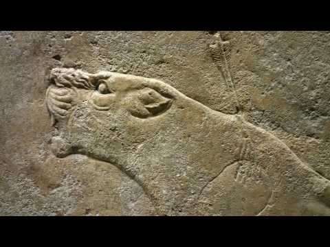 What is the function of works like ashurbanipal killing lions in Assyrian society?