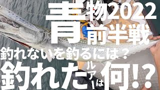 秋から冬！青物爆釣にむけて予習！去年に習え！釣れるルアーは何だ！？