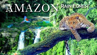 Amazon RainForest 4K HD | Amazon Wildlife #animals #wildlife #wild #relaxing #relax #relaxingmusic