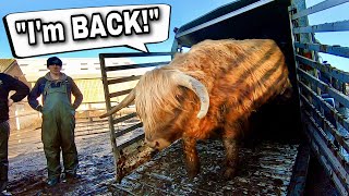 HUGE MOVING DAY FOR A LOT OF ANIMALS!!