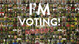 Does Voting Really Matter?