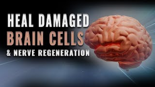 Heal Damaged Brain Cells & Nerve Regeneration | Theta Binaural Beats Sound | Brain Cell Regeneration