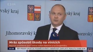 Hašek: Mrazy poškodily vinice. Jihomoravský kraj a vinaři jednají o řešení škod