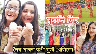 মুকলি বিহু চাব গলো // গৰু বিহুৰ দিনা খেলিলো কণী যুজঁ