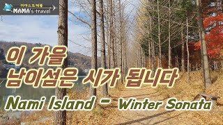 #90 [ 국내 여행 ]  한 편의 시가 되는 곳, 남이섬 / Nami Island