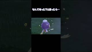 メタモン色違いは脳がバグる#ポケモンSV#かたわらにショコラ#スカーレットバイオレット