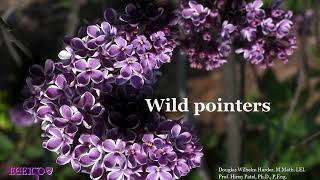 2 05 1 Wild pointers