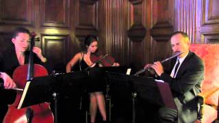Los Angeles String Trio/Quartet Wedding Musicians