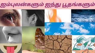 ஐம்புலன்களில் ஐந்து பூதங்களின் தன்மை