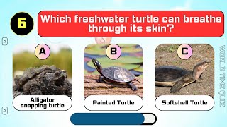 Can You Guess The Freshwater Animals in Hard Level?