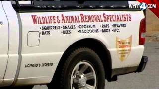 Bat Problem Causes School To Be Closed