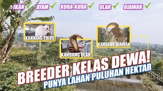 BREEDER KELAS DEWA! LAHAN PULUHAN HEKTAR