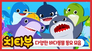 [#동요모음] 우와💦 신기한 바다동물들이다❕ 다양한 바다동물 동요 모아모아 듣기 | 인기동요 | 상어 | 고래 | 동요연속듣기 | 신나는 동요 #치타부