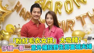 「粉紅毛衣女孩」太吸睛！ 仔細一看…意外捕捉野生郭富城夫婦