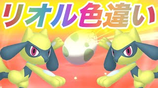 色違いリオル　産まれる瞬間　#shorts  #ダイパリメイク#ポケモン