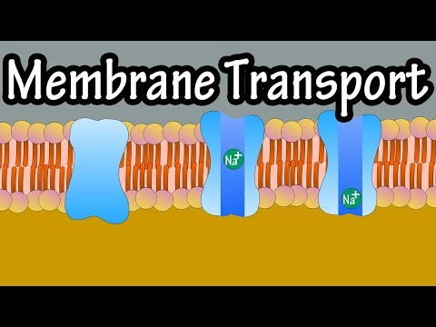 What is a non energy process that moves materials across a cell membrane?