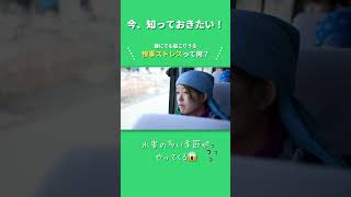 60秒で学ぶ #災害ボランティア 【誰にでも起こりうる惨事ストレス】 #災害 #切り抜き