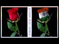 Photoshop Manipulation : Convert Rose into Flag Effect Hindi Tutorial Part-2