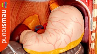 How do we burp? | The Big Question