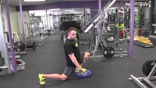 Split Squats vs Lunges