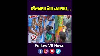 జీతాలు పెంచాలని.... | Asha Workers Rally | V6 News