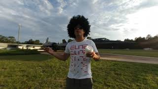 El #Black Pájaro Negro