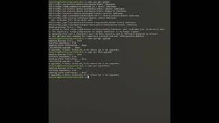 Linux Basics: Updates