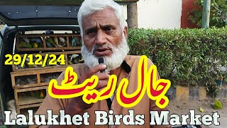 Lalukhet Sunday Birds Market 29/12/24 birds rate list 2024 lalukhet birds market 2024|zunair birds