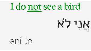 No and Not: Hebrew Basics #13