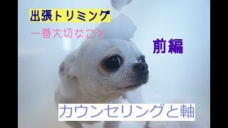 出張トリミング/一番大切なことは【前編】カウンセリングと軸